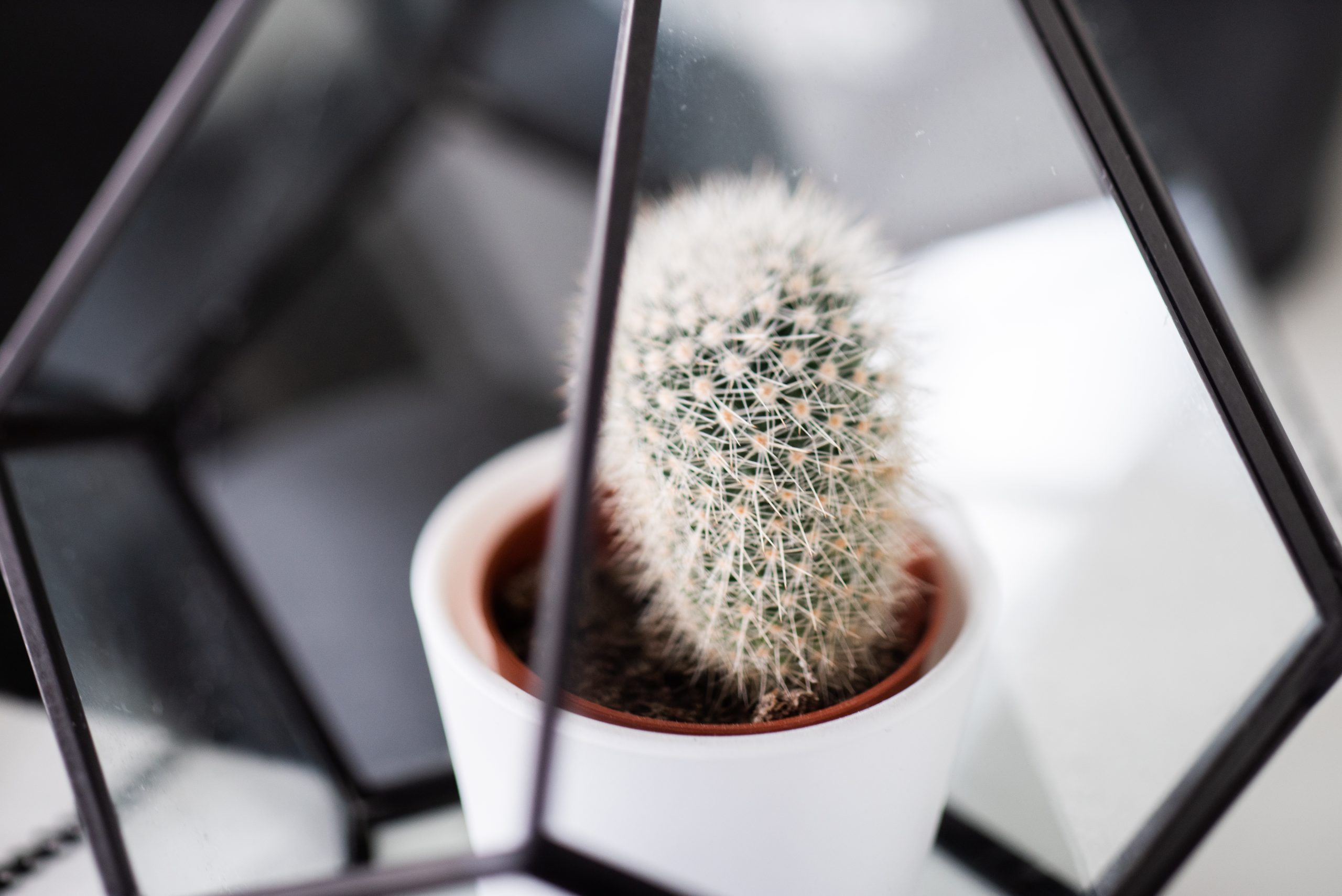 FortiClient 2026: La guía definitiva para protección de endpoints y Zero Trust